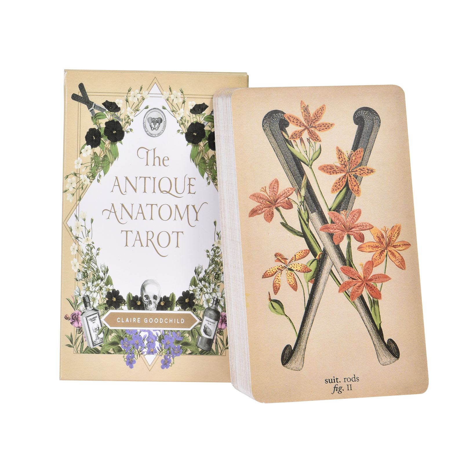 Board Game Oracle - Les Cartes de Tarot « Anatomy